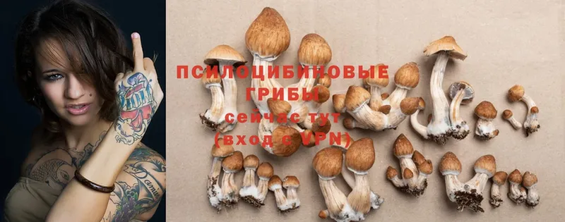 Галлюциногенные грибы Psilocybine cubensis  ссылка на мегу как зайти  Спасск-Рязанский 